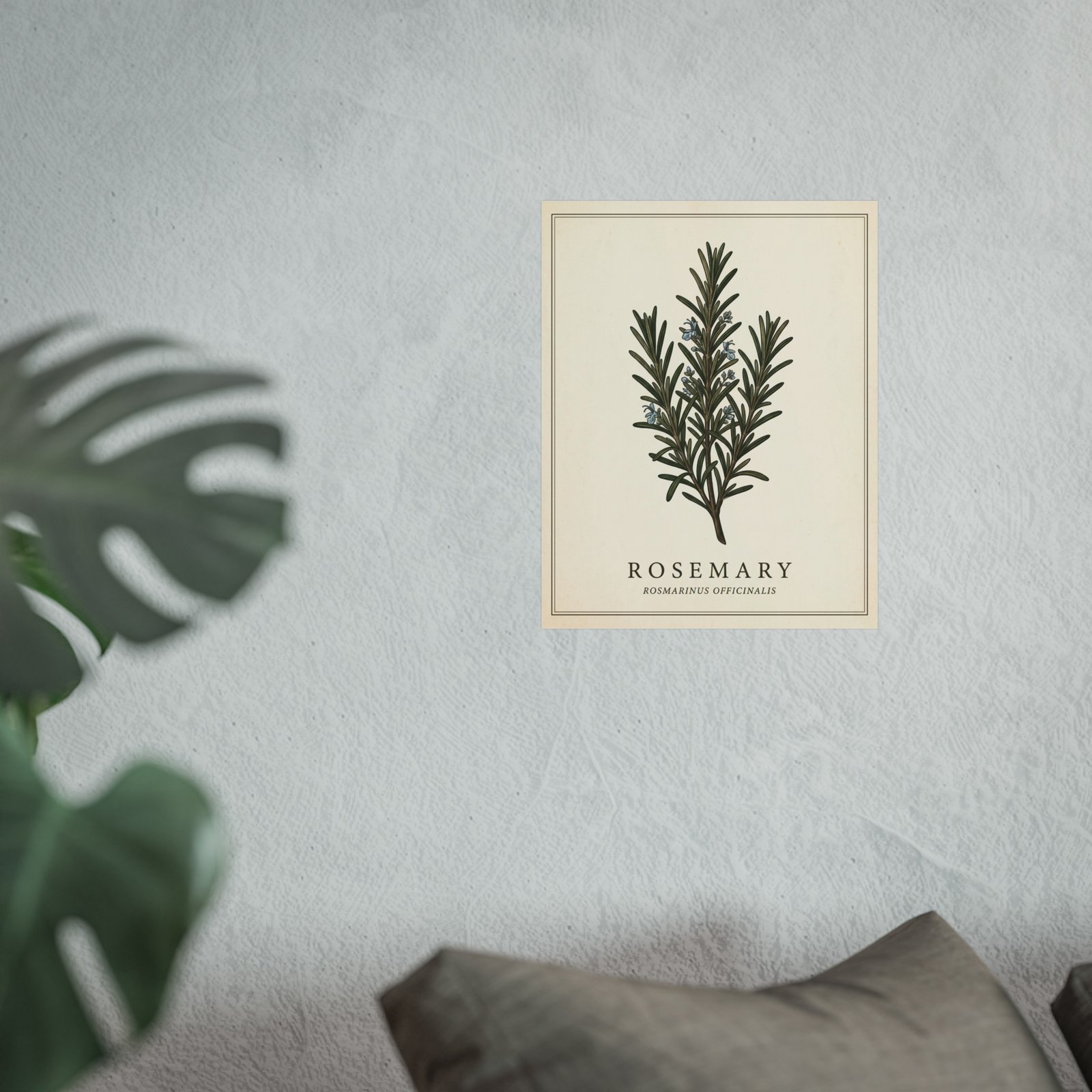Vintage Rosemary Botanical Print - Image 5