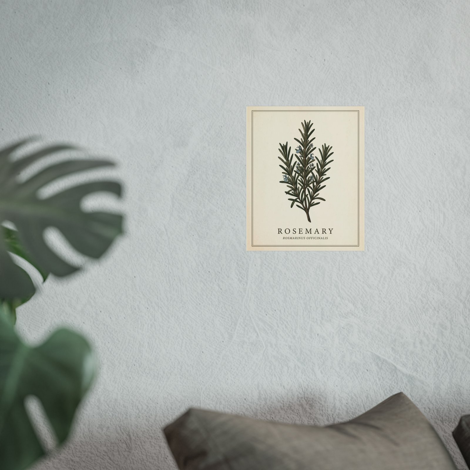 Vintage Rosemary Botanical Print - Image 2